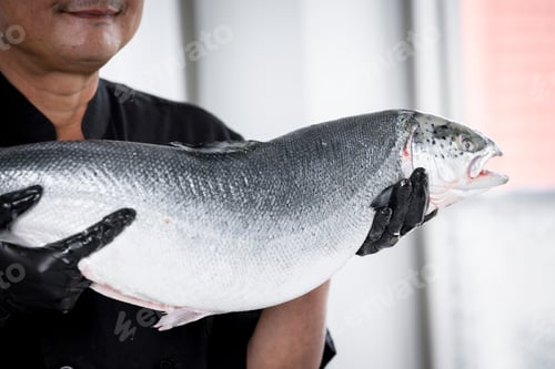 Preview: Portrait of chef holding freshly salmon