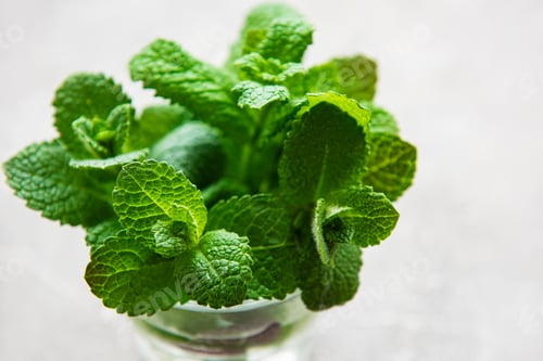 Preview: Bundle of fresh organic mint twigs
