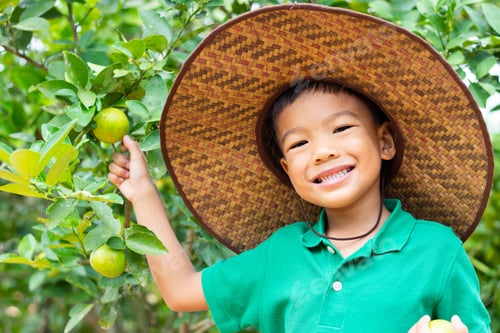 Visualização: Menino criança asiática feliz colhendo muitos maracujá na fazenda