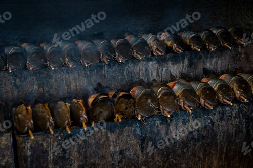 Preview: Close-up of grilled cat fish on the grill. Shallow depth of field. In Thailand wet market