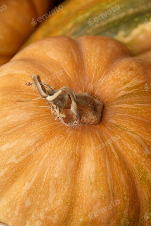 Preview: Pumpkins on a farmers market