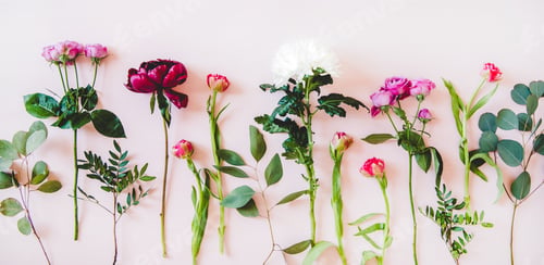 Preview: Flat-lay of purple peonies, pink roses, tulips, chrisanthemums, copy space