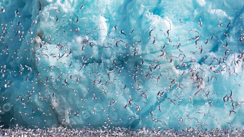 Preview: Beautiful shot of a flock of birds flying near the iceberg in Svalbard