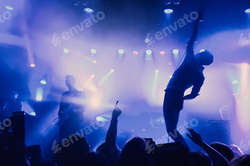 Preview: Concert silhouette