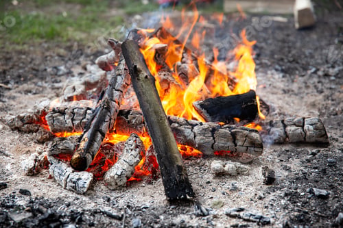 Preview: Close up of a burning bonfire in the forest.