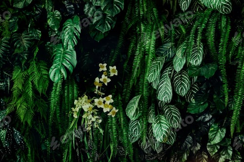 Preview: Herb wall, plant wall, natural green wallpaper and background.