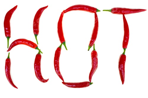 Preview: Group of chili pepper shape HOT english words