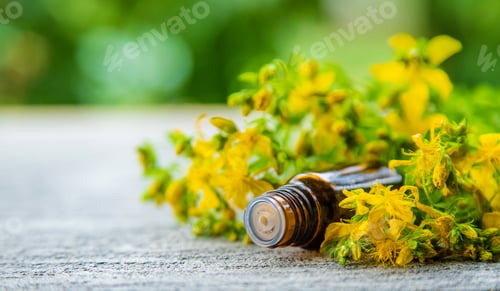 Preview: An essential oil extract of St. John's wort herb. Selective focus.