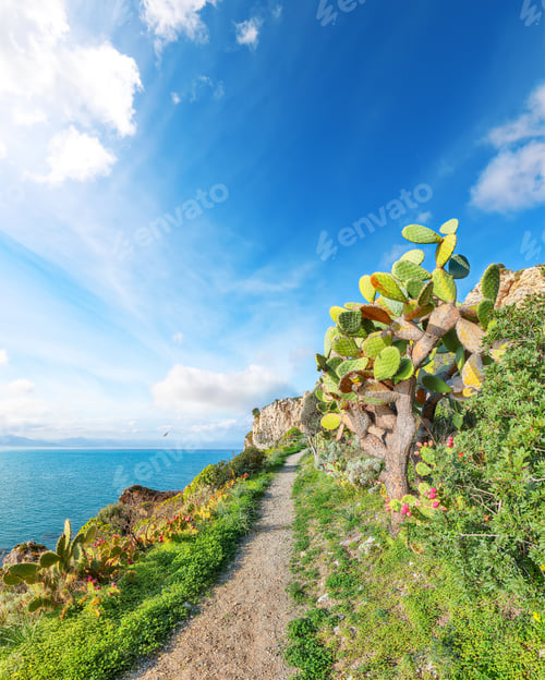 Preview: Stunning spring view on the the cape Milazzo panorama of nature reserve Piscina di Venere.