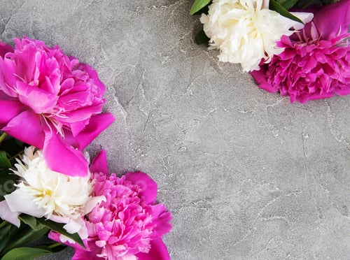 Preview: Spring peonies