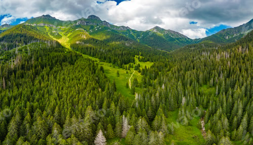 Preview: Aerial drone view of the educational trail Zadne Medodoly, High Tatras, Slovakia