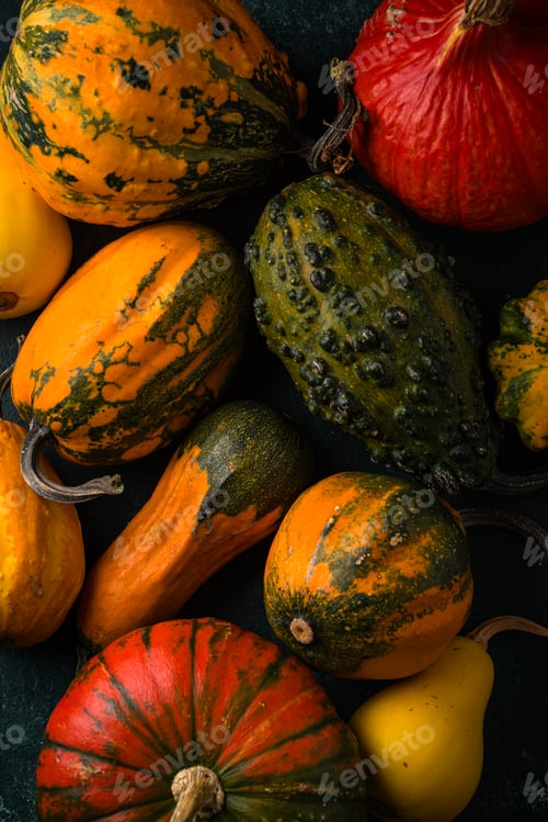 Preview: Various decorative pumpkin on green background