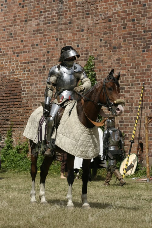 Preview: Knight on horse