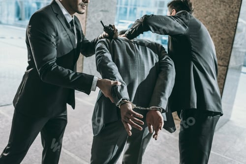 Preview: Cropped image of security guards arresting male offender
