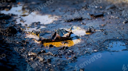 Preview: Closeup photo of toxic wastes, oil and plastic polluting ground. Concept of harm to environment and