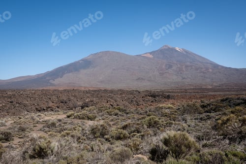 Preview: a dirt area with bushes and grasses below a mountain on a sunny day
