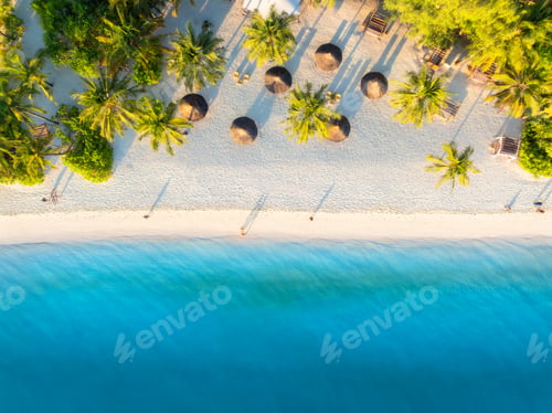 Preview: Aerial view of green palm trees, umbrellas, sandy beach, sea