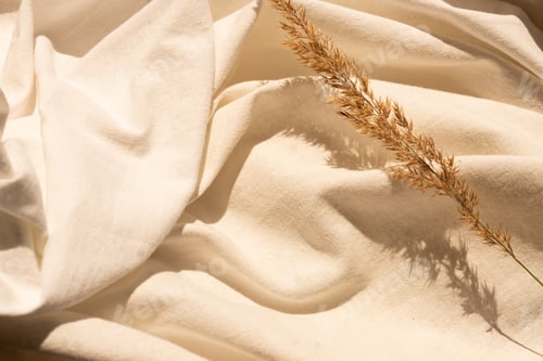 Preview: background with dried flower arrangement and copy space. Organic design. Pastel colors.