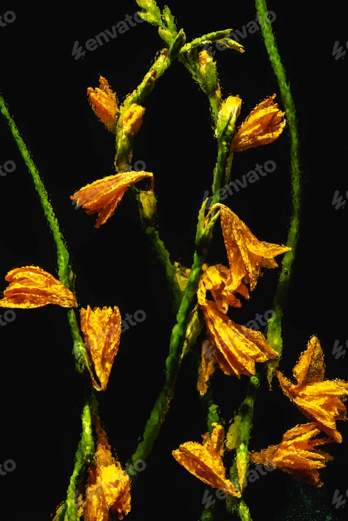 Preview: beautiful blooming wet orange lilies and buds with green stems isolated on black
