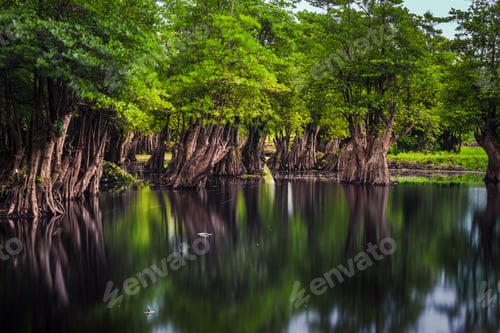Preview: Beautiful morning view indonesia Panorama Landscape paddy fields with beauty color and sky natural l