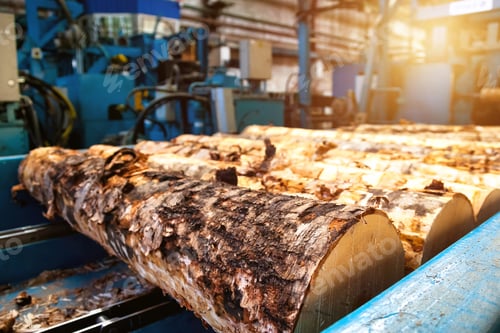 Preview: Stockwood treatment in machinery on factory manufacture woodwork in mill