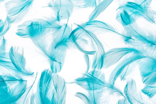 Preview: seamless background with blue soft feathers isolated on white