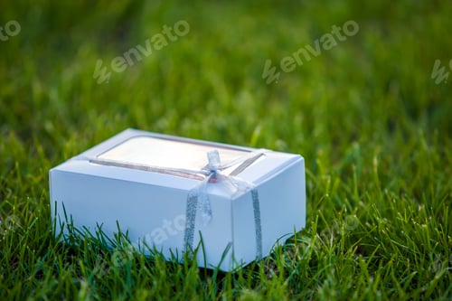 Preview: Cardboard white gift box with colorful handmade macaron cookies on green grass lawn background.