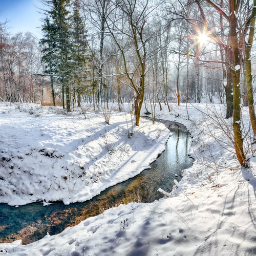 Preview: Breathtaking landscape in city park with snowy trees and beautiful frozen river.