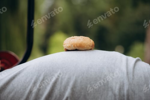 Preview: a burger rests on a fat man's stomach
