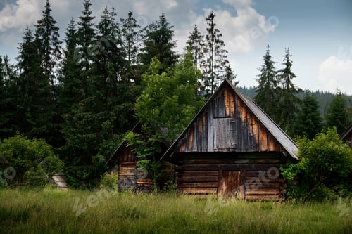 Preview: Old log cabin in the forest
