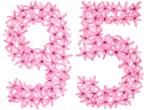 Preview: Numeral 95, ninety five, from natural flowers of hyacinth, isolated on white background