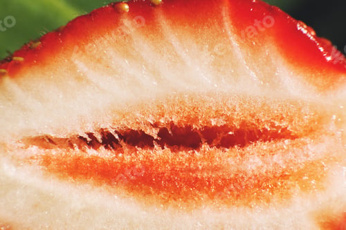 Preview: strawberry cut in half. strawberry core. half of a strawberry on a green background
