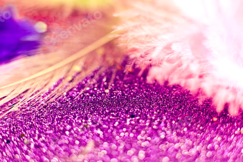 Preview: macro shot of feather and glitter