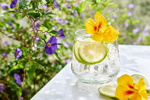 Preview: Iced lemonade with edible nasturtium flowers, lime and mint leaves. Refreshing summer drink