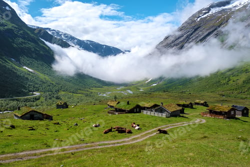 Preview: Norwegian Valley Idyll With Grazing Cattle