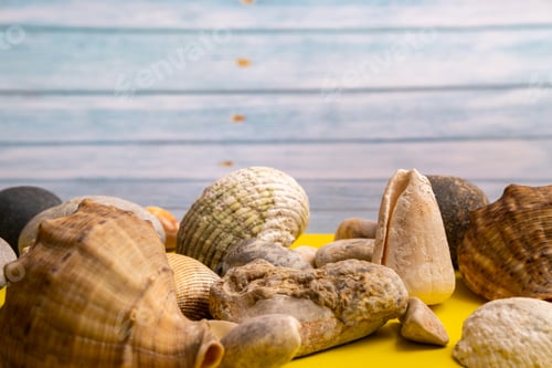 Preview: stones and shells on a blue wooden background and a yellow background.Marine theme
