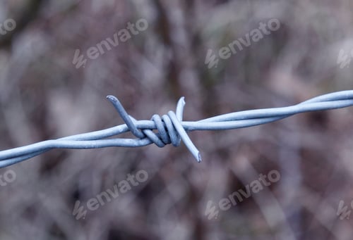 Preview: Barbed Wire