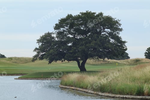 Preview: golf, grass, green, course, club, sport, ball, hole, nature, summer, landscape, rough, tee, field,