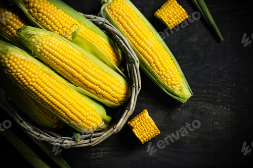 Preview: Fresh corn in basket.