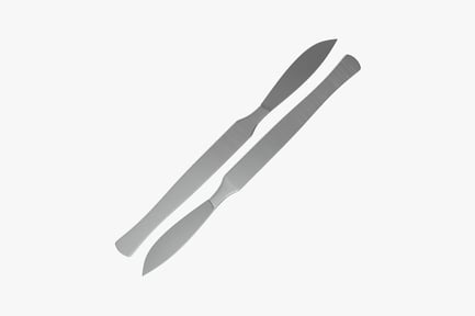 Preview: Paired stainless steel knife and fork