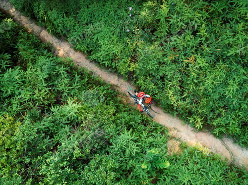 Preview: Cross country cyclist with mountain bike in the forest