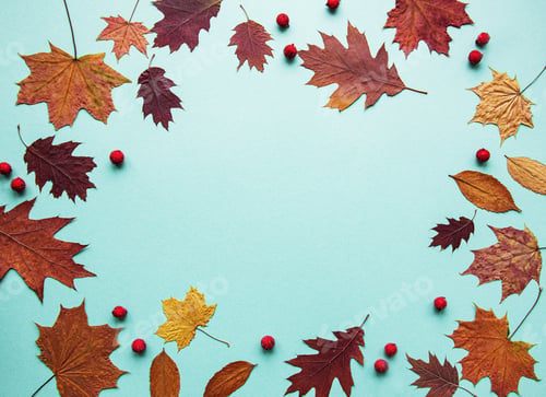 Preview: Autumn composition