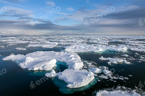Preview: Sea Ice - North Atlantic - Greenland