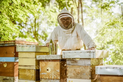 Preview: Beekeeping