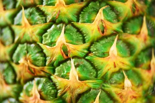 Preview: Texture of pineapple skin. Copy space. Beauty and diet concept. Macro shoot of pineapple fruit