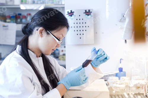 Preview: Female scientist looking at specimen bottle in laboratory