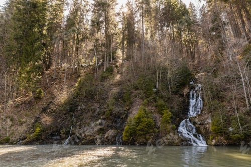 Preview: Mountain river and forest with sunlight
