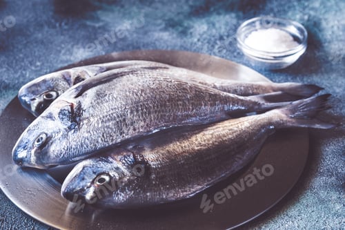 Preview: Sea bream (dorada) fish