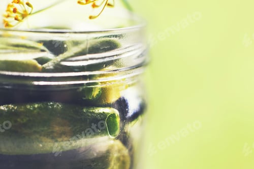 Preview: pickled cucumbers with dill in a glass jar. gherkins cucumbers on a green background.