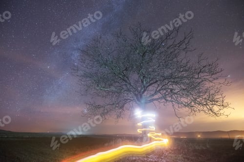 Preview: Milky way and light painting tree
